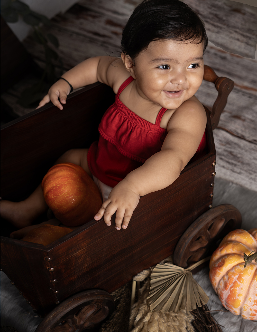 Baby portrait with themed set and props